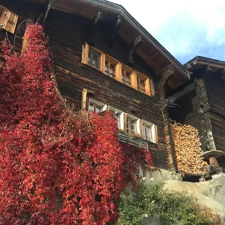 Amici 1- Og West Appartement-fewo- Dusche Und Bad- Wc By Interhome Appartamento Riederalp